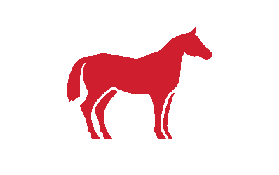 equine icon