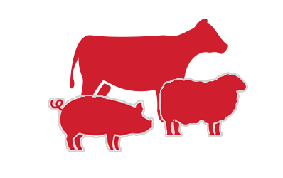 livestock icon