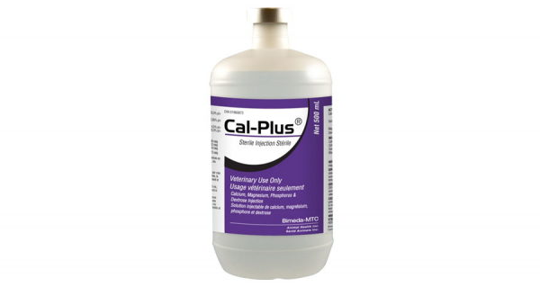Cal-Plus
